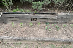 Gardening(텃밭만들기)